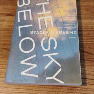 D’ERASMO, STACEY